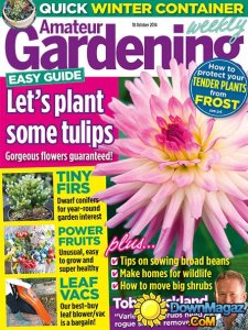 Amateur Gardening - 18 October 2014