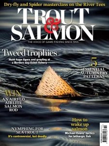 Trout & Salmon - 10/11 2025