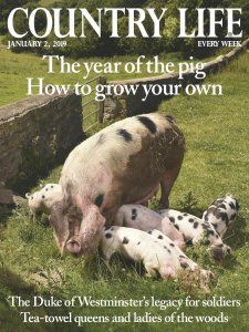 Country Life UK - 01.2.2019