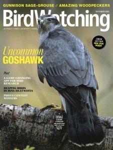 BirdWatching USA - 09/10 2021