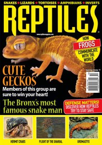 Reptiles - 09/10 2019