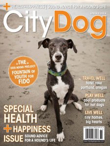 CityDog - Spring 2018