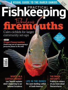 Practical Fishkeeping - 04.2021