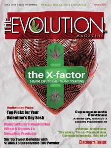 The Evolution - 02.2025