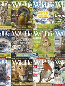 BBC Wildlife - 2019 Full Year