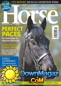 Horse UK - 11.2017