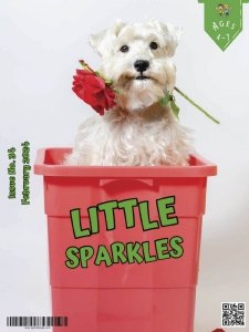 Little Sparkles - 02.2024