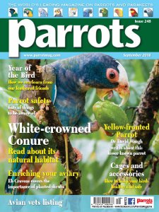 Parrots - 09.2018