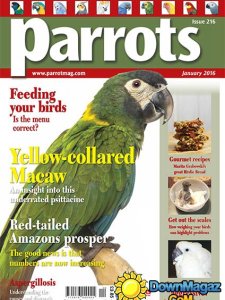 Parrots UK - January 2016