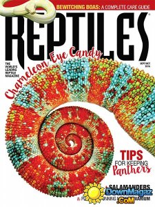 Reptiles - September - October 2016