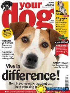 Your Dog - December 2014