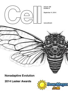 Cell - 11 September 2014