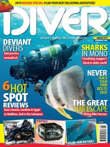 Diver UK - 01.2019