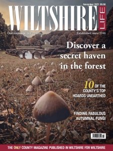 Wiltshire Life - 11.2021