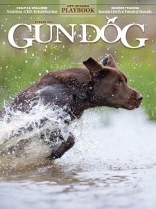 Gun Dog - Summer 2022