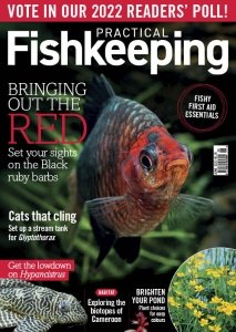 Practical Fishkeeping - 06.2022