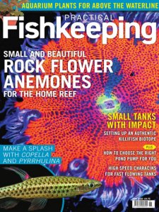 Practical Fishkeeping - 06.2020