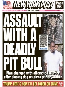 New York Post - 08.21.2024