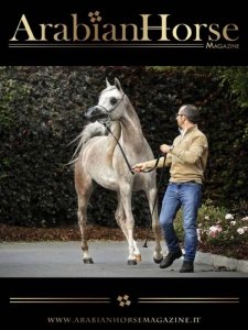 Arabian Horse - Summer 2023