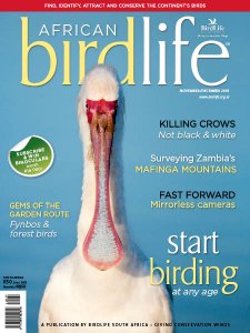 African Birdlife - 11/12 2018