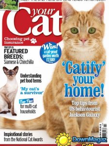 Your Cat – October 2014