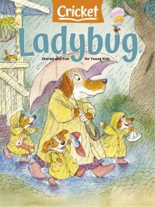 Ladybug - 04.2024