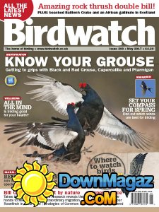 Birdwatch UK - 05.2017