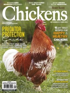 Chickens - 09/10 2022