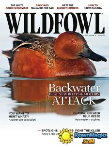 Wildfowl - June/July 2015