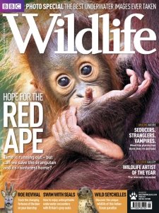 BBC Wildlife - 08.2011