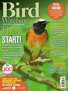 Bird Watching UK - 04.2025