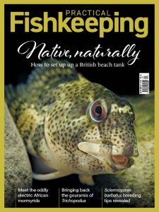 Practical Fishkeeping - 12.2022