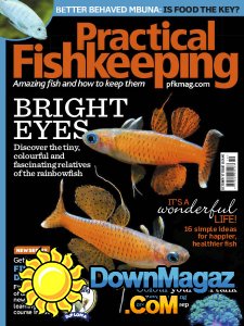 Practical Fishkeeping - 10.2017