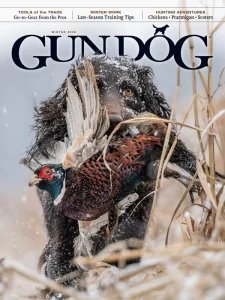 Gun Dog - Winter 2026