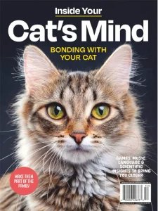 Inside Your Cat's Mind - Bonding With Your Cat 2025