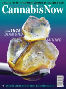 Cannabis Now - Is. 34 2019