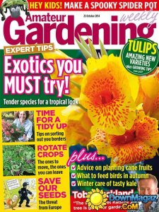 Amateur Gardening - 25 October 2014