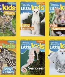 National Geographic Little Kids - 2019 Full Year