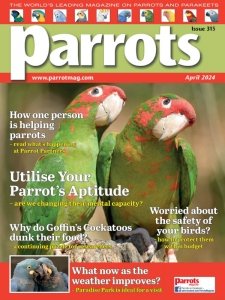 Parrots - 04.2024