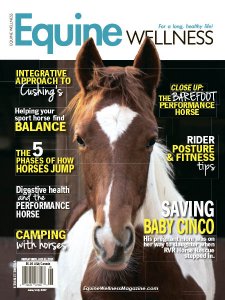 Equine Wellness - 06/07 2017