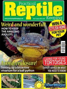 Practical Reptile Keeping - Summer 2016