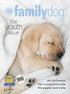 Familydog - 05/06 2025