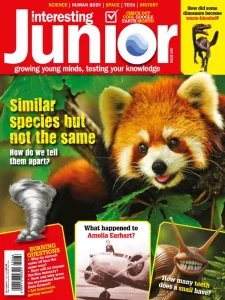 Very Interesting Junior - 08.2025