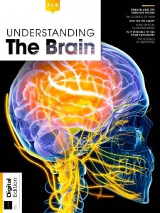 How It Works - Understanding The Brain 1st Edition 2023