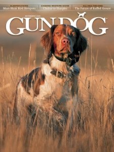 Gun Dog - 11.2021