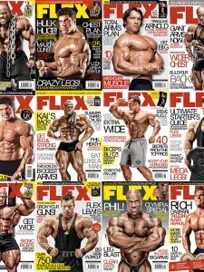 Flex UK - 2016 Full Year