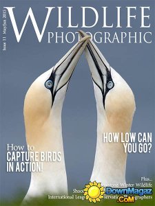 Wildlife Photographic - May/June 2015