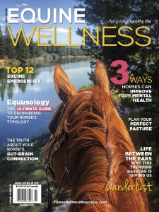 Equine Wellness - 04/05 2019