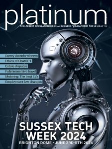 Platinum Business - 11.2023