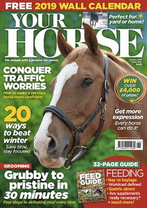 Your Horse - 01.2019